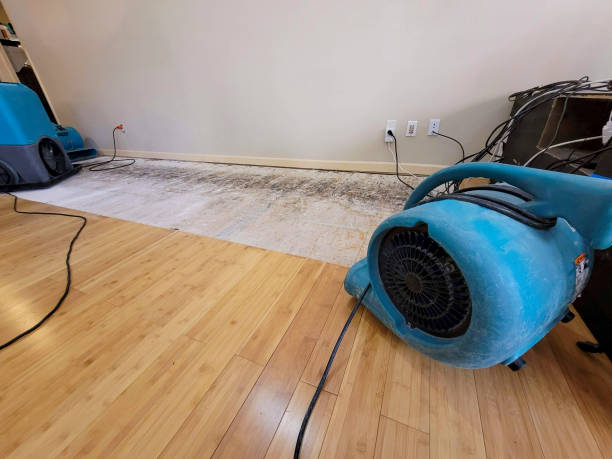 Professional Structural Drying technician working in Attica, MI